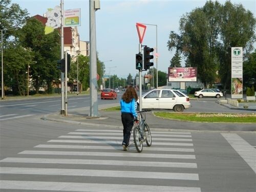 Слика за прашањето: Велосипед на пат, може да управува лице кое наполнило: